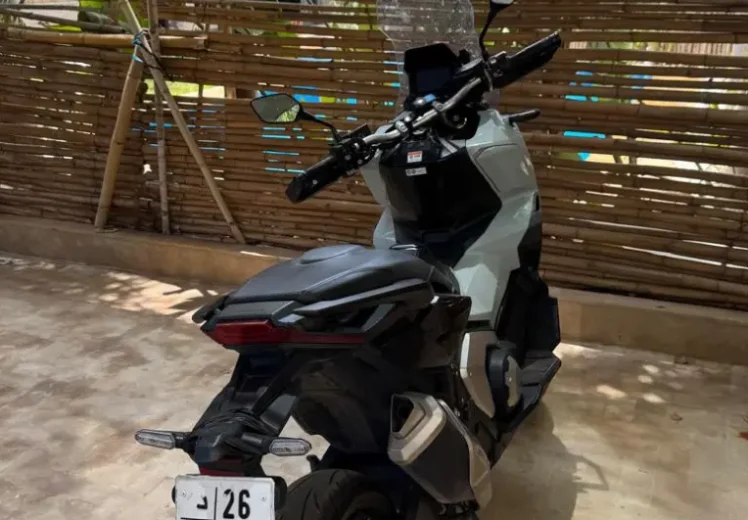 XADV-GRIS-NARDO XADV-GRIS-NARDO